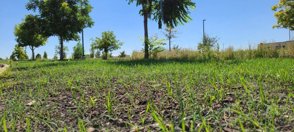 Express Mulching & Soil